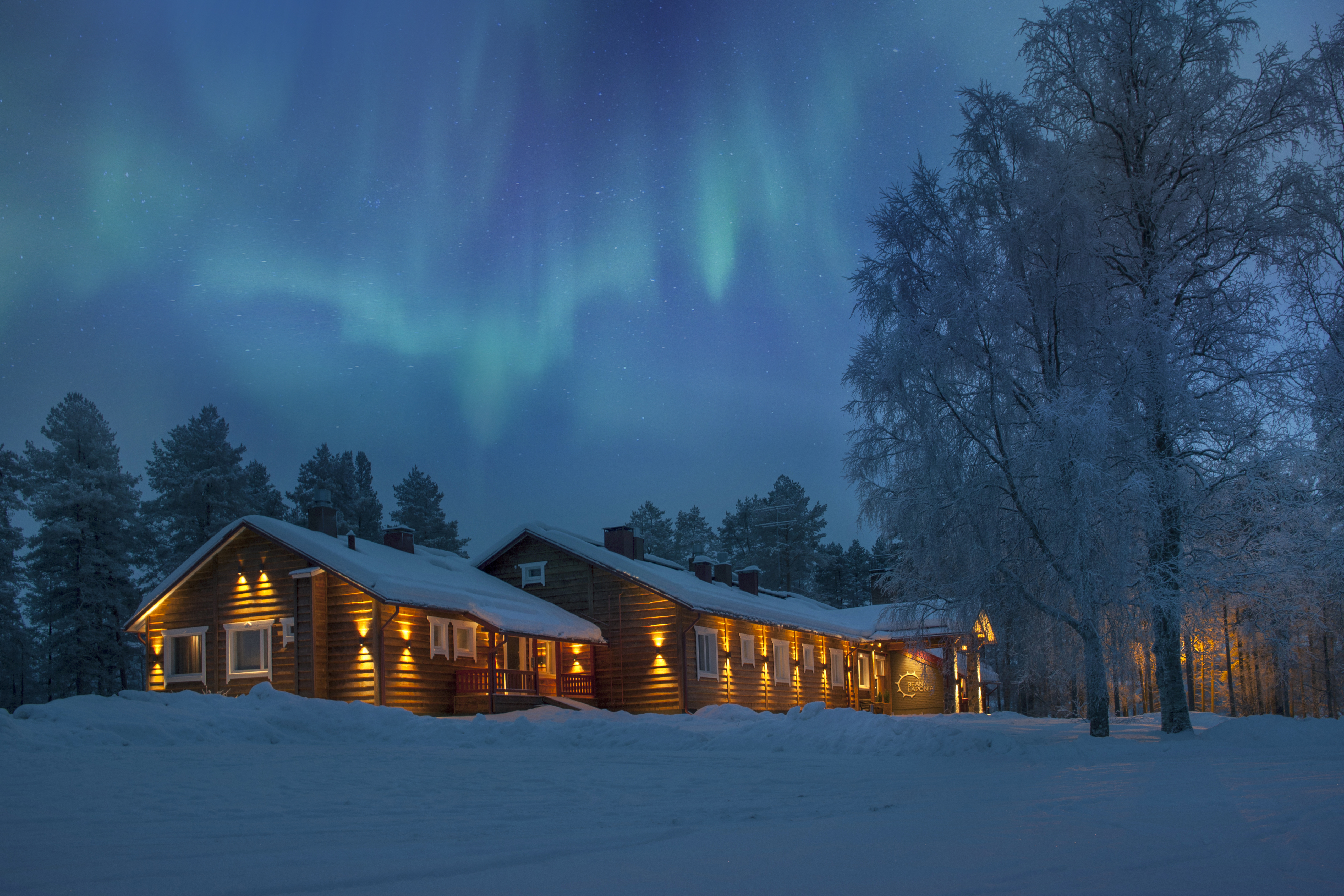 Small timber lodge among snow-covered pines with lit windows